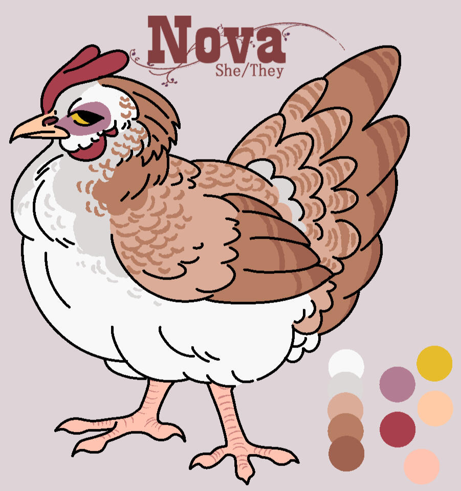 Nova - Imogene Buggy
